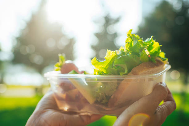 istock Hands holding plastic container with sandwich, vegetables and fruits in a park 2156175246