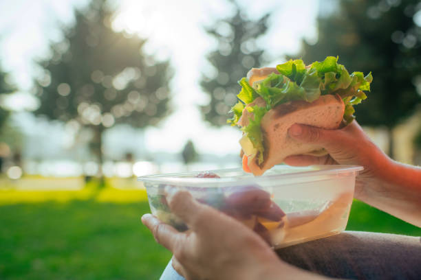 Hands holding plastic container with sandwich, vegetables and fruits in a park