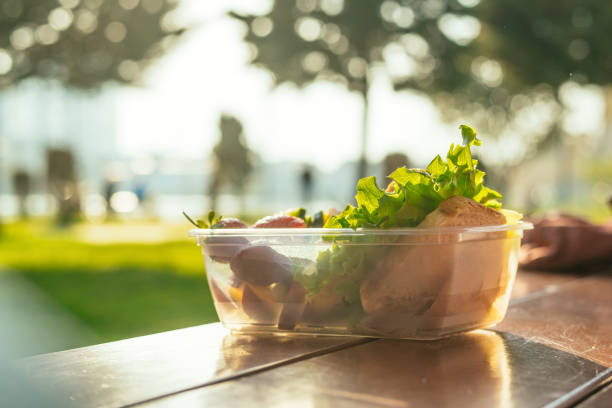 istock Plastic container with sandwich, vegetables and fruits on a table in a park in sunset 2156175303