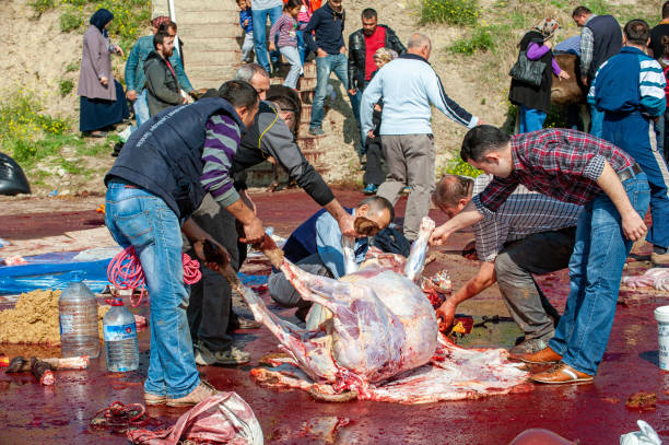 A row of freshly skinned rabbits arranged among other fresh meats in a butcher’s counter inside the public market (mercado) in the center of Santa Cruz, the main city of Tenerife. The scene shows the traditional presentation of fresh meat and the orderly display of the skinned rabbits.