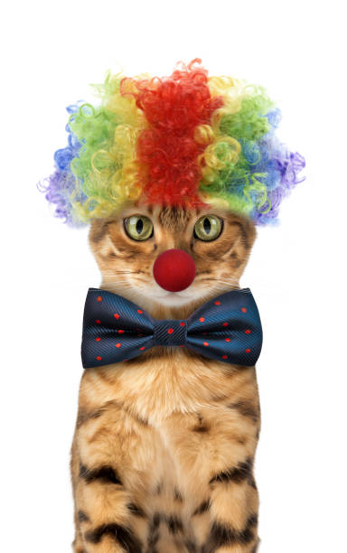 istock Funny red cat dressed in a festive suit and a clown hat 2156176962