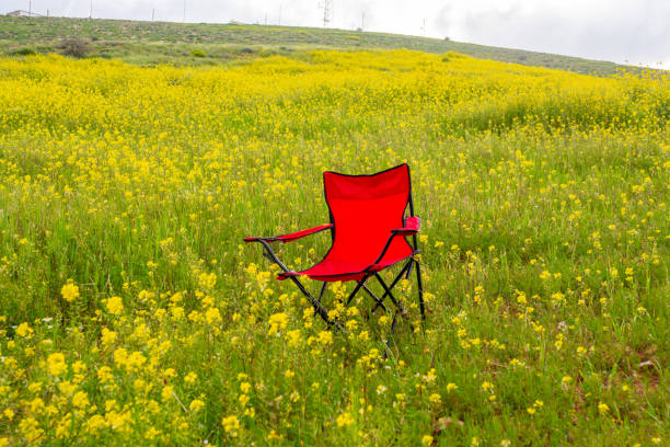 picnic chair in roses field with copy space