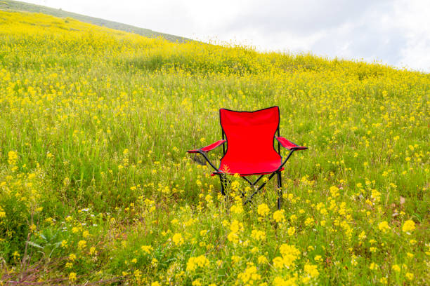 picnic chair in roses field with copy space