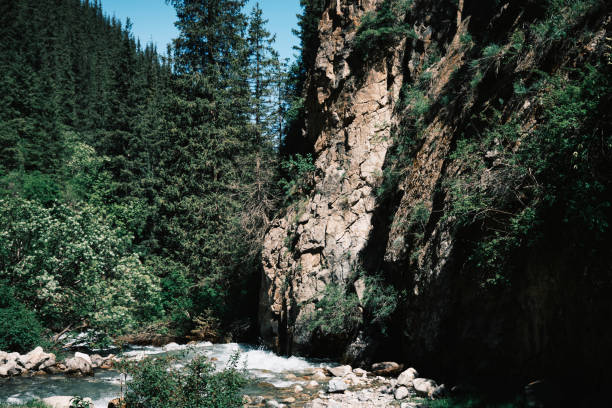 Pure stream is flowing under cliff in mountain forest