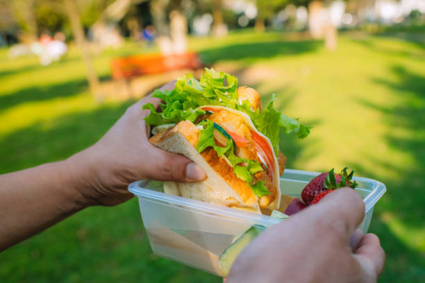 Hands holding plastic container with sandwich, vegetables and fruits in a park