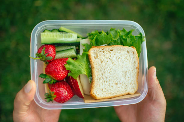Hands holding plastic container with sandwich, vegetables and fruits