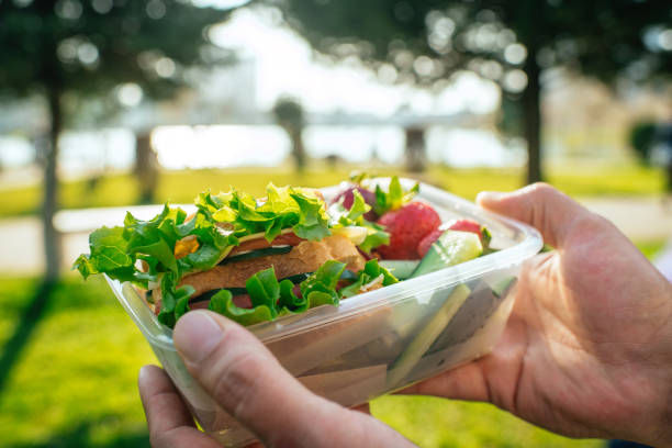 istock Hands holding plastic container with sandwich, vegetables and fruits in a park 2156187320