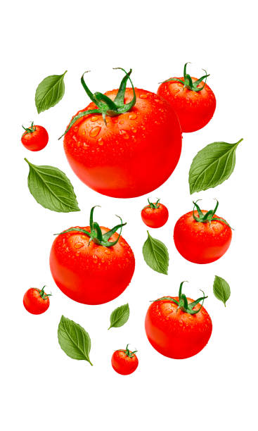 istock Falling Tomato Isolated on White Background with Green Leaves 2156193085