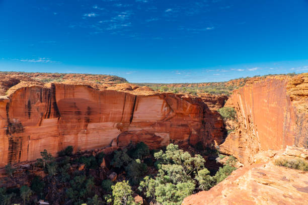 istock Kings Canyon / Watarrka Rim Walk, Northern Territory, Australia 2156198183