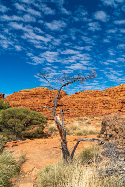 istock Kings Canyon / Watarrka Rim Walk, Northern Territory, Australia 2156198273