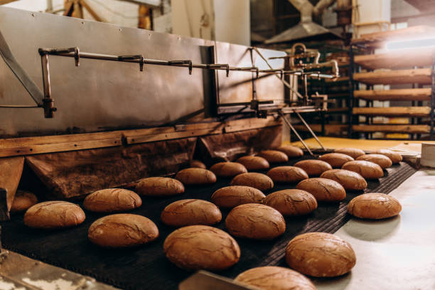 istock Automatic bakery production line with sweet cookies on conveyor belt equipment machinery in confectionary factory workshop, industrial food production 2156200630