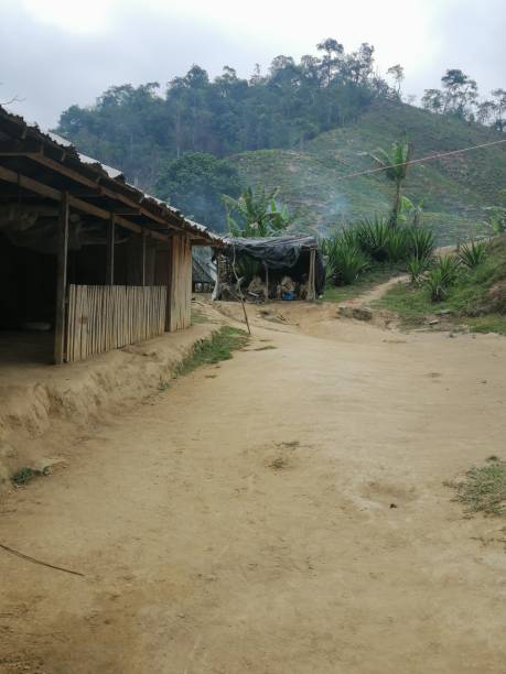 istock A village in the Jungle 2156201547