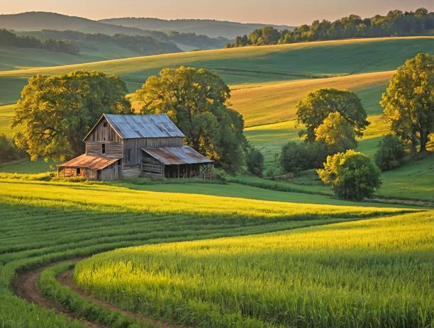 istock a barn on a hill next to trees and green grass 2156202431