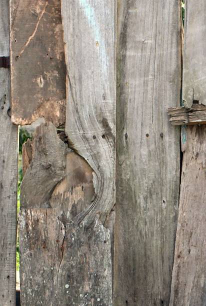 istock Backgrounds and textures in Yaracuy Venezuela. 2156205443