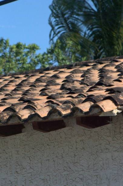 istock Backgrounds and textures in Yaracuy Venezuela. 2156205614
