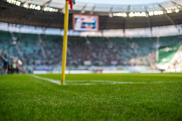grass on the football pitch at the stadium