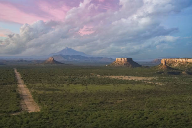 istock Namibia, landscape of the bush 2156209395