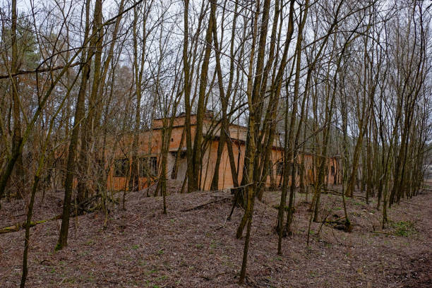 istock Bare trees surround an isolated, unmarked building. 2156211958