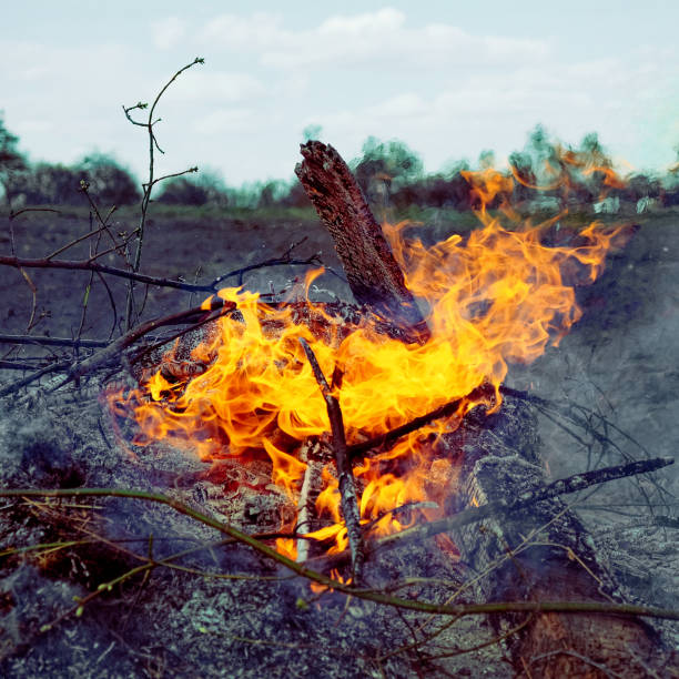 Bright orange flames are visible consuming the dry materials; greyish-white smoke billows upwards into the clear sky. Illegal burning of leaves and dry grass.