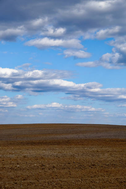 istock Horizon view of an open field with scattered clouds above. 2156212161