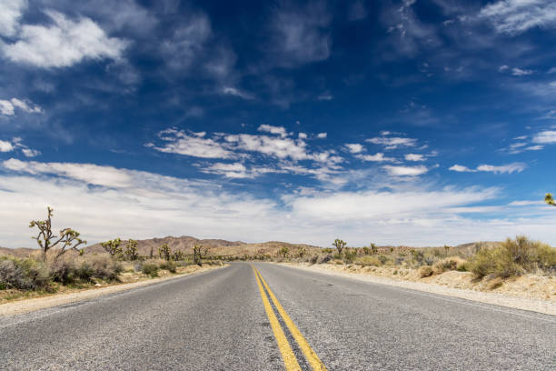 istock Joshua Tree National Park 2156212395