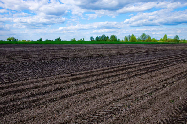 istock Rows in soil prepared for planting under the sky. 2156212410