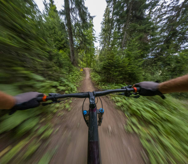 istock Immersive Adventure: POV Mountain Biking Through a Serene Forest Trail 2156216949