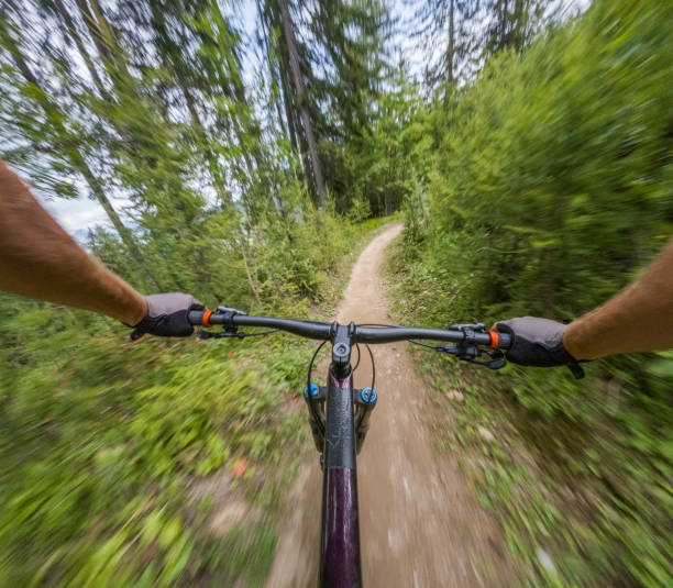 istock POV Mountain Biking Through Forest Trail 2156216969