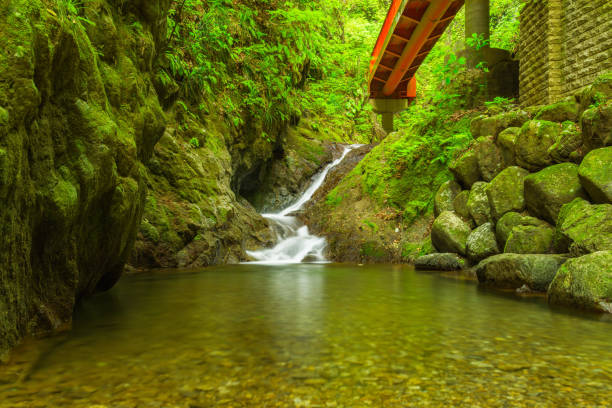 istock Small Falls on a Tributary to the Nakatsu River 2156219674