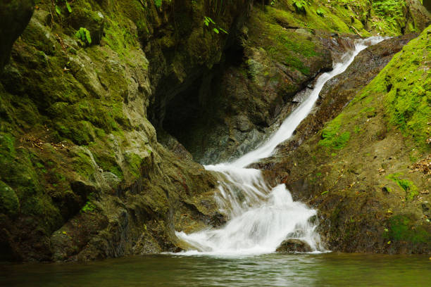 istock Small Falls on a Tributary to the Nakatsu River 2156219680