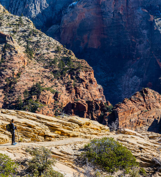 istock Female Hiker Below  Sandstone Cliffs on The West Rim Trail 2156221950