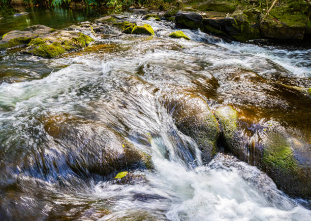 istock Ho'opi'i Stream Cascading Over Upper Ho'opi'i Falls 2156222090