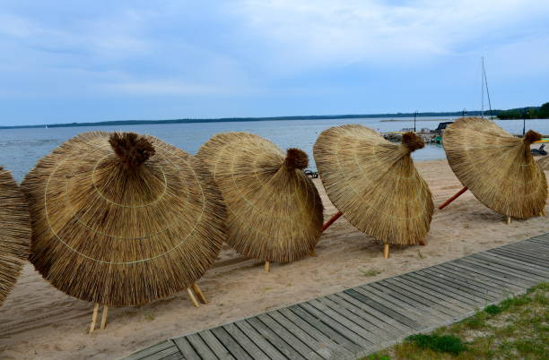 A close up on a sandy beach located next to a vast yet shallow river or lake with numerous round thatch umbrellas or parasols made out of straws and thatch scattered all over the place seen in Poland