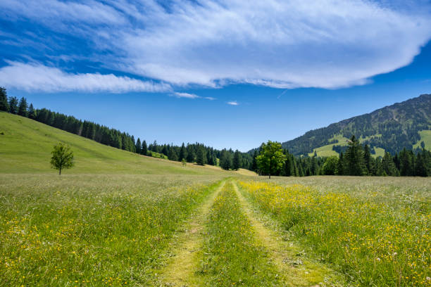 Samerberg, Chiemgau, Upper Bavaria, Germany