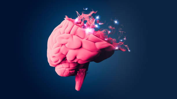 istock Brain seen from the side. Degenerative disease.  Parkinson and Alzheimer 2156240127