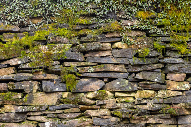 istock Closeup old stone wall with moss in autumn, background with copy space 2156240294