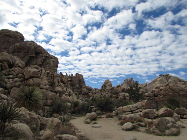 istock Joshua Tree National Park Landscape 2156249002