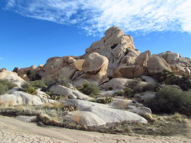 istock Joshua Tree National Park Landscape 2156251170