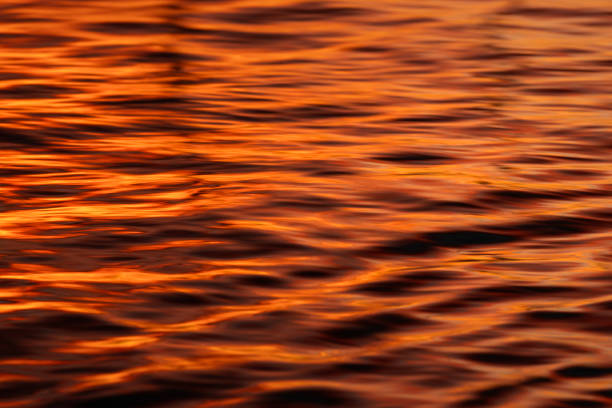 Golden sunrise over the tranquil waters of Byron Bay, Australia, capturing the serene beauty of the early morning light reflecting on gentle waves.