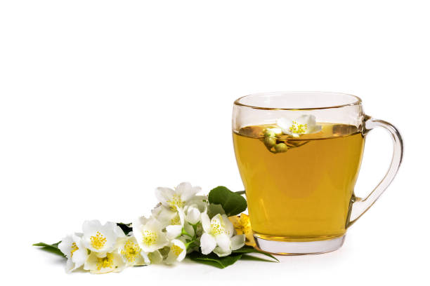 Jasmine tea cup and jasmine flowers close-up on white background with space for text