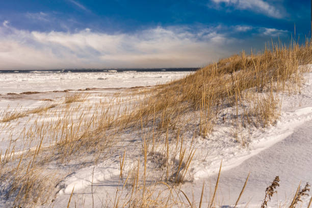 istock Northern {EI National Park Shoreline 2156260905