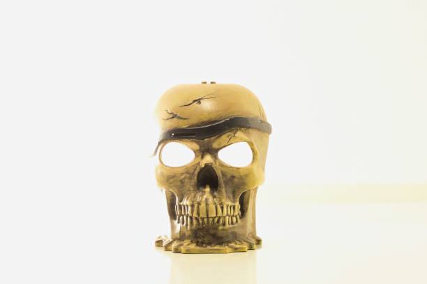 photo picture of a human bone skull isolated