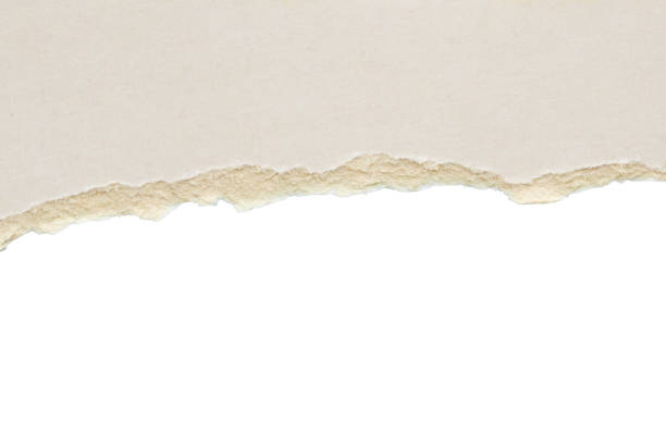 istock White ripped paper torn edges strips isolated on white background 2156262135