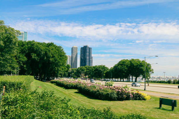 Chicago downtown skyline viewed from Grant Park