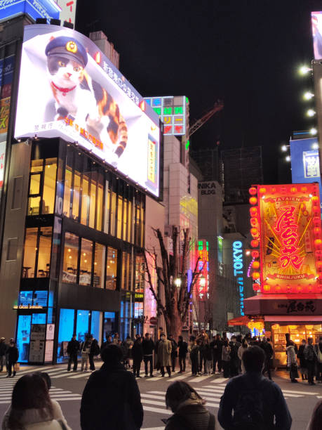 Crowd of people by night at the Cross Shinjuku junction, which have a new screen with a giant realistic 3D cat on its billboard. Tokyo, Japan.