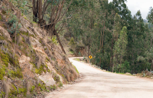 istock unpaved road through the mountain 2156271370
