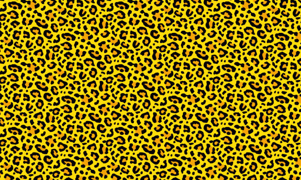 Leopard Print Shells 18,800+ Leopard To Print Background Stock Illustrations, Royalty-Free ...