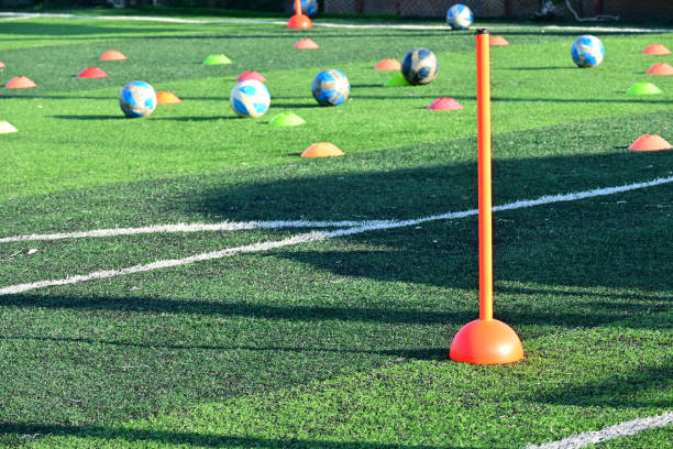 istock artificial green grass soccer field with training cone and ball 2156277747