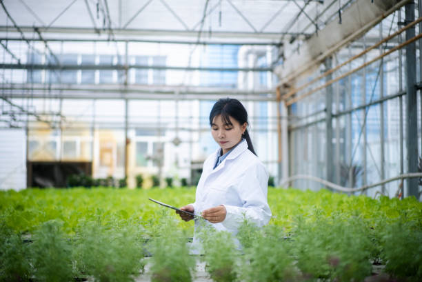 istock female botanist  working with digital tablet in vegetable greenhouse 2156284557