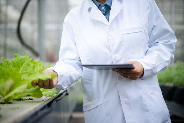istock female botanist  working with digital tablet in vegetable greenhouse 2156284563